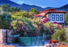 Close Encounters with Danger